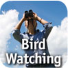 bird-watching.jpg