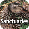 sanctuaries.jpg